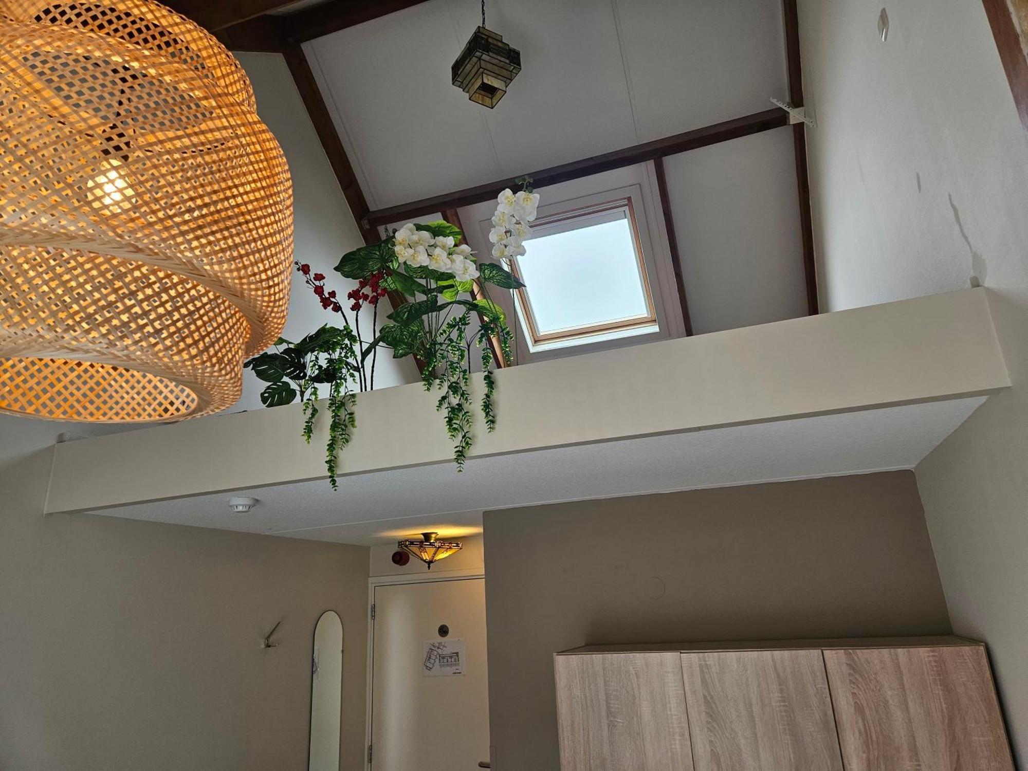 Hotel Dolores Ameland Нес Экстерьер фото