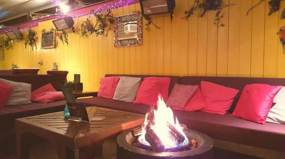 Hotel Dolores Ameland Нес Экстерьер фото